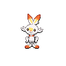 Scorbunny